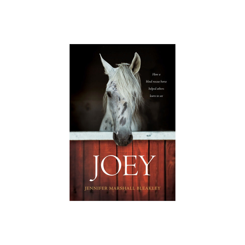 Tyndale House Publishers Joey (inbunden, eng)