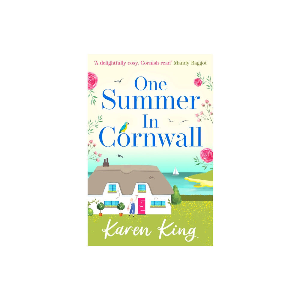 Headline Publishing Group One Summer in Cornwall (häftad, eng)