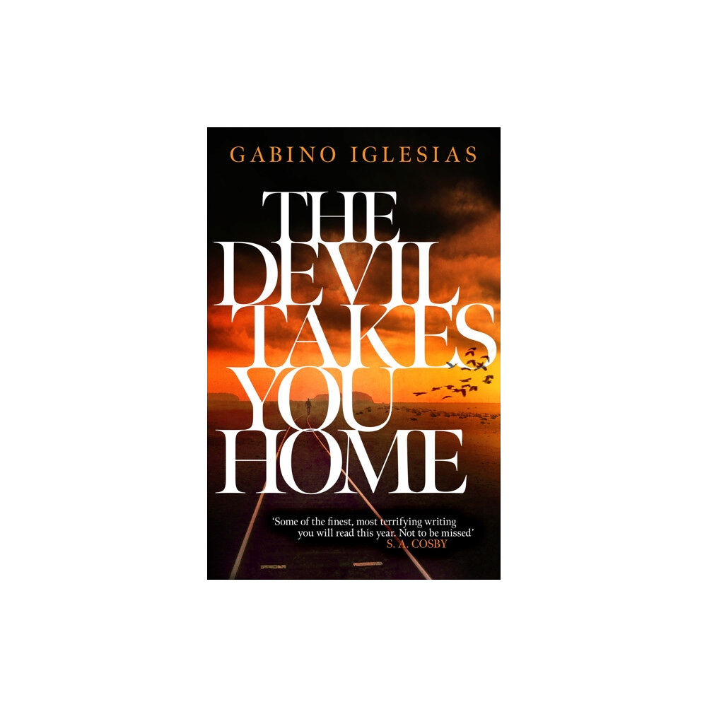 Headline Publishing Group The Devil Takes You Home (inbunden, eng)