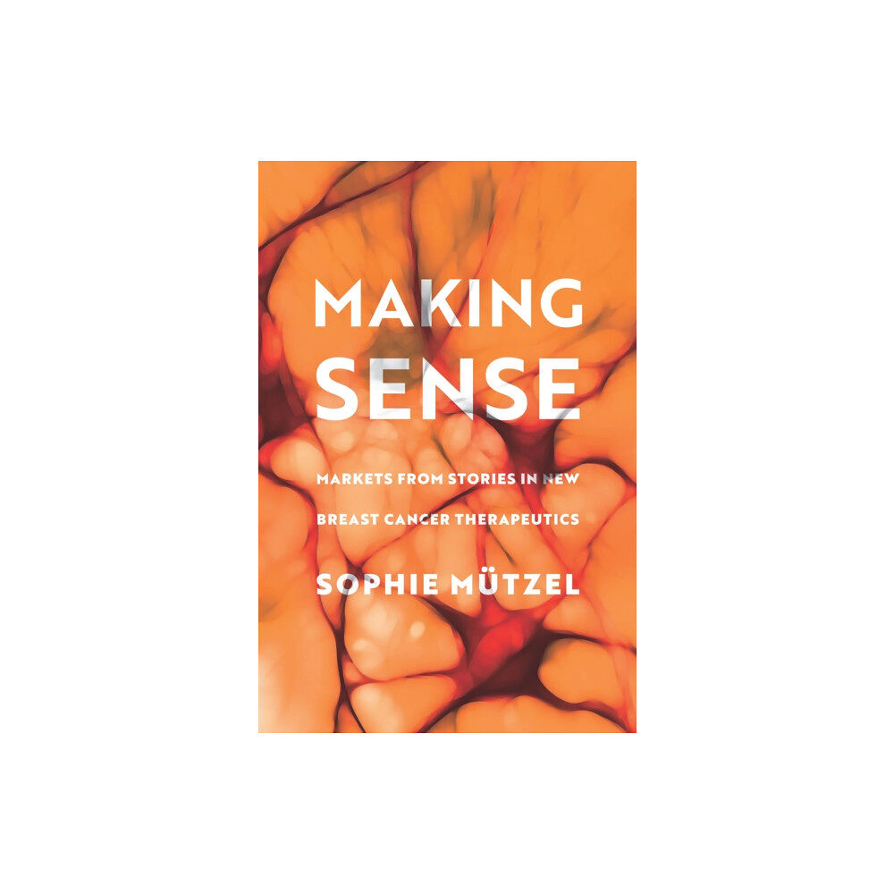 Stanford university press Making Sense (häftad, eng)