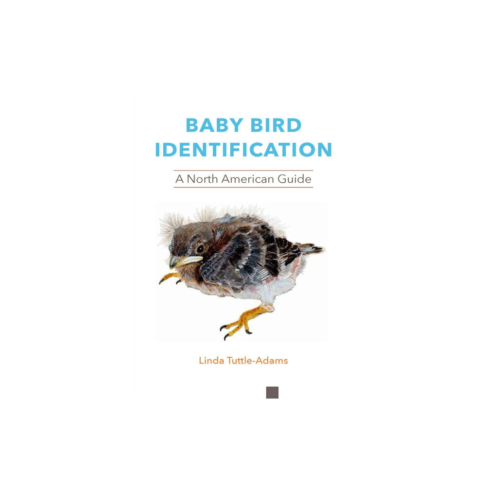 Cornell University Press Baby Bird Identification (häftad, eng)