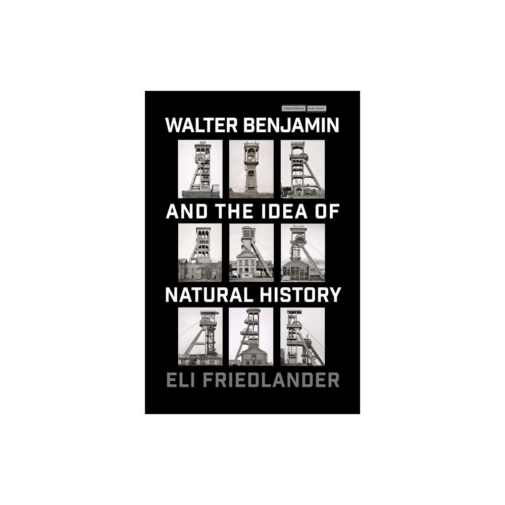 Stanford university press Walter Benjamin and the Idea of Natural History (häftad, eng)