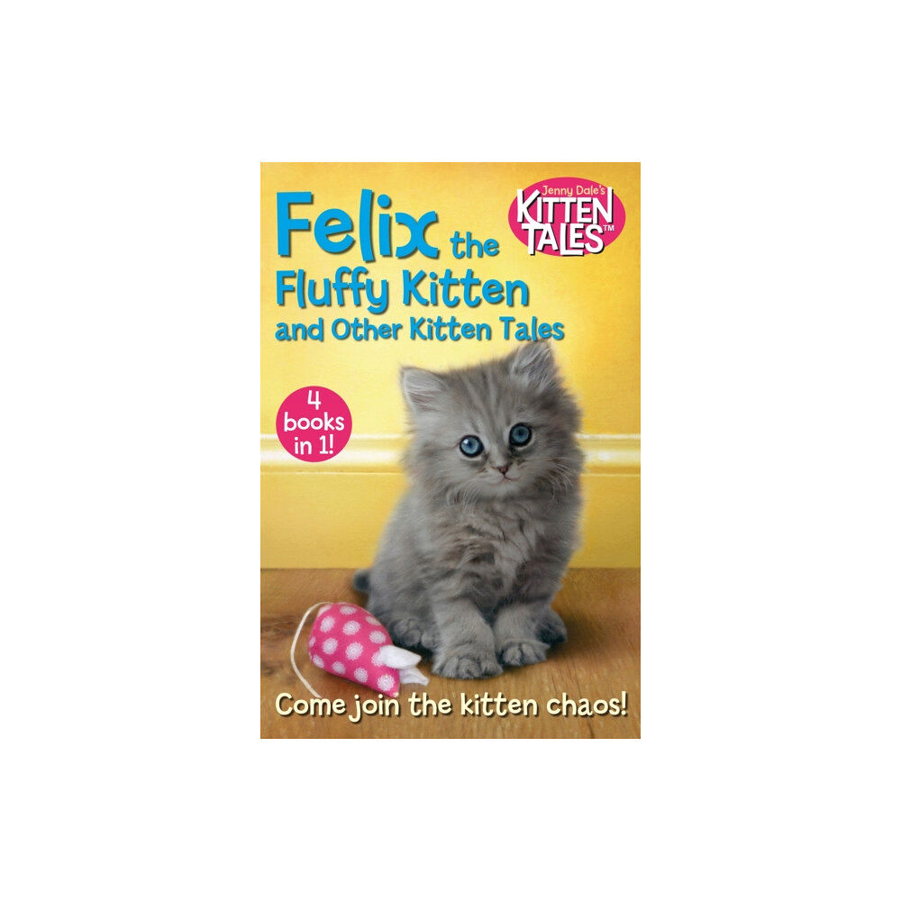 Pan Macmillan Felix the Fluffy Kitten and Other Kitten Tales (häftad, eng)