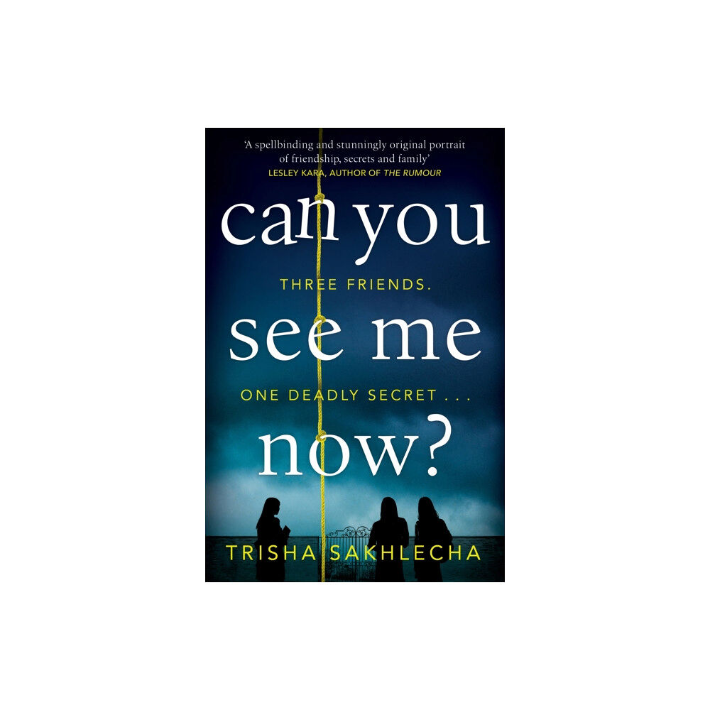 Pan Macmillan Can You See Me Now? (häftad, eng)