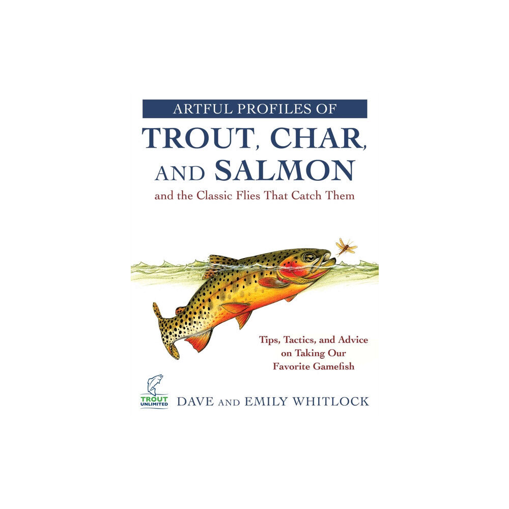 Skyhorse Publishing Artful Profiles of Trout, Char, and Salmon and the Classic Flies That Catch Them (häftad, eng)