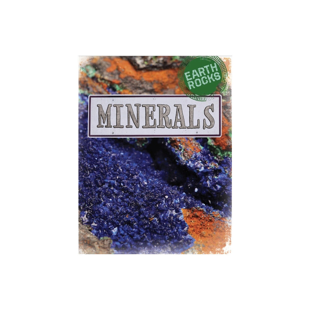 Hachette Children's Group Earth Rocks: Minerals (häftad, eng)