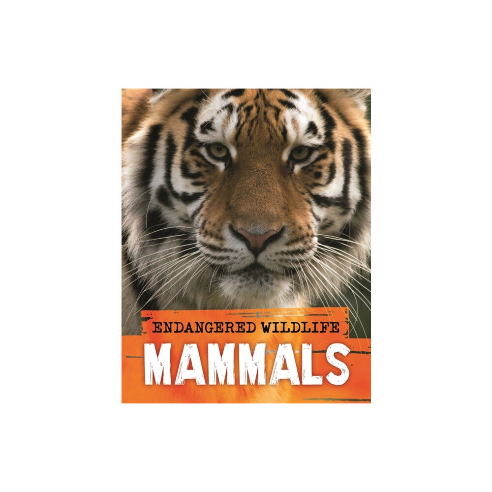 Hachette Children's Group Endangered Wildlife: Rescuing Mammals (häftad, eng)