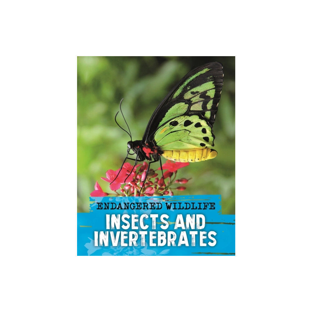 Hachette Children's Group Endangered Wildlife: Rescuing Insects and Invertebrates (häftad, eng)