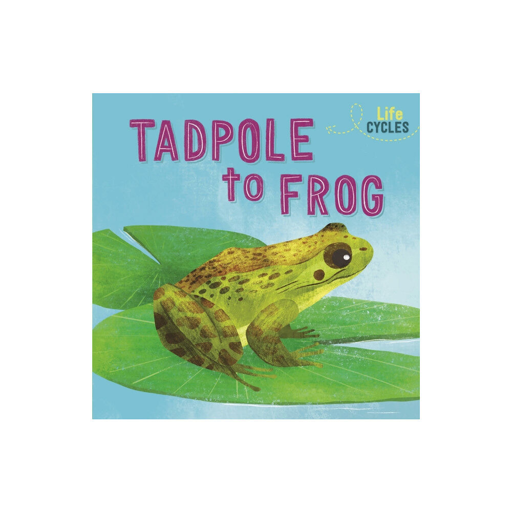 Hachette Children's Group Life Cycles: From Tadpole to Frog (häftad, eng)