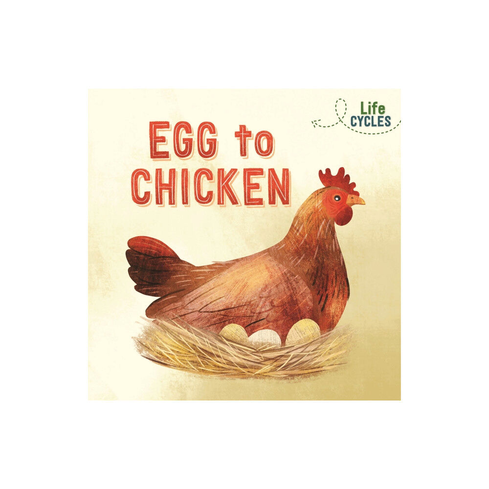 Hachette Children's Group Life Cycles: Egg to Chicken (häftad, eng)