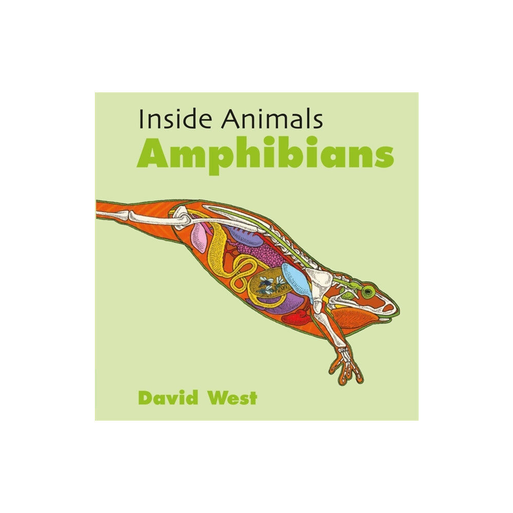 Hachette Children's Group Inside Animals: Amphibians (häftad, eng)