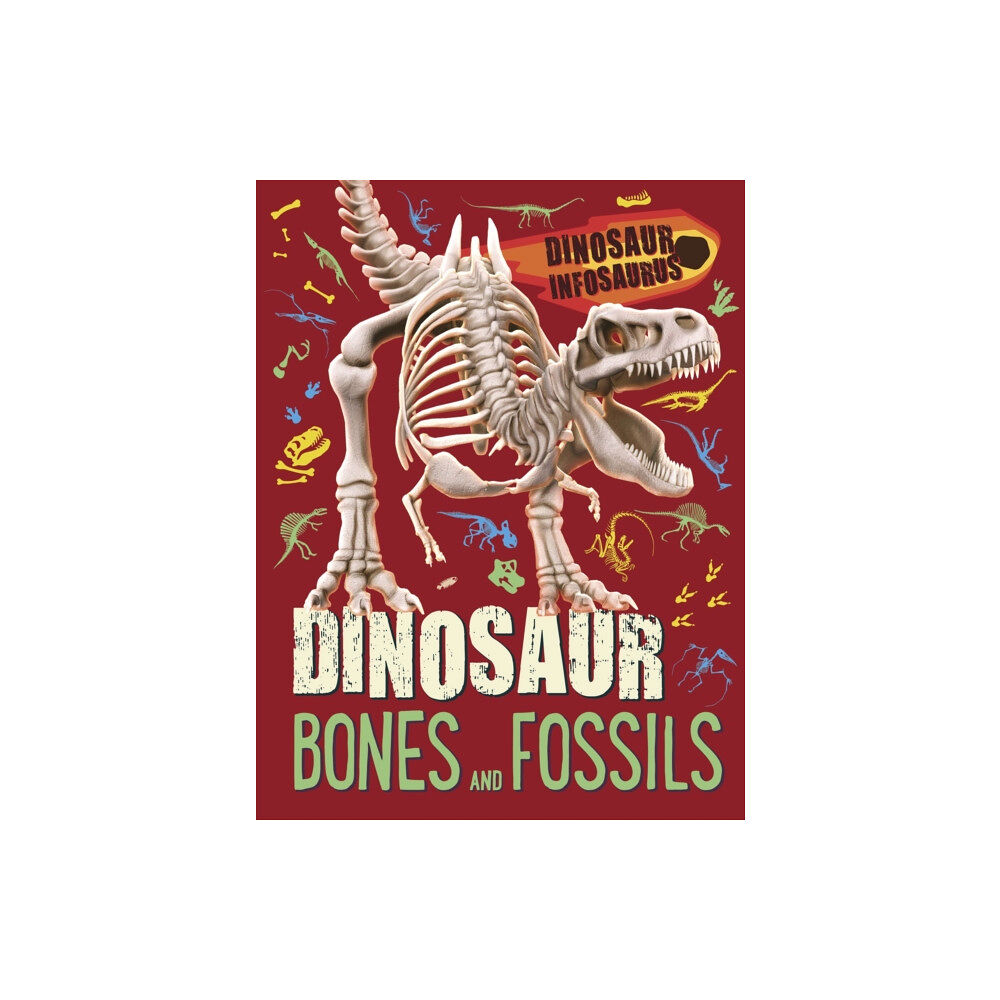 Hachette Children's Group Dinosaur Infosaurus: Dinosaur Bones and Fossils (häftad, eng)