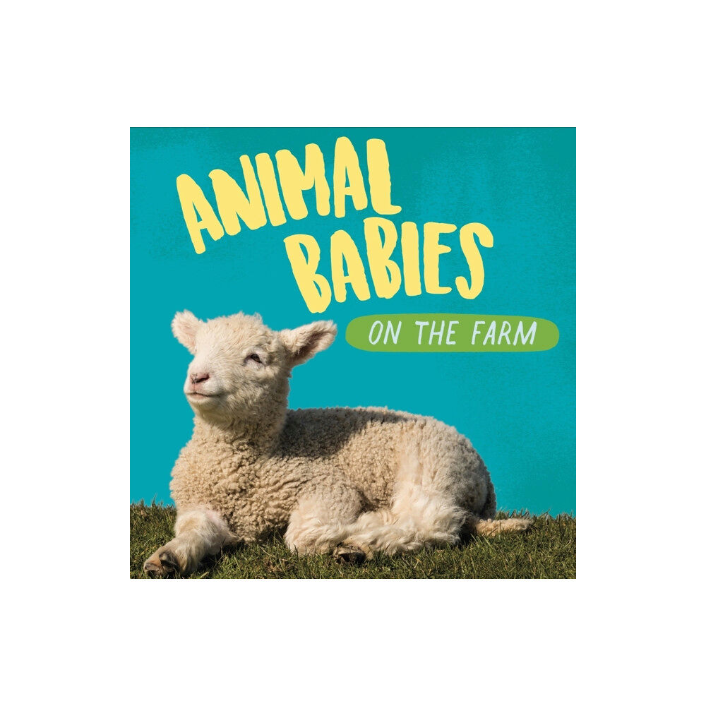 Hachette Children's Group Animal Babies: On the Farm (inbunden, eng)