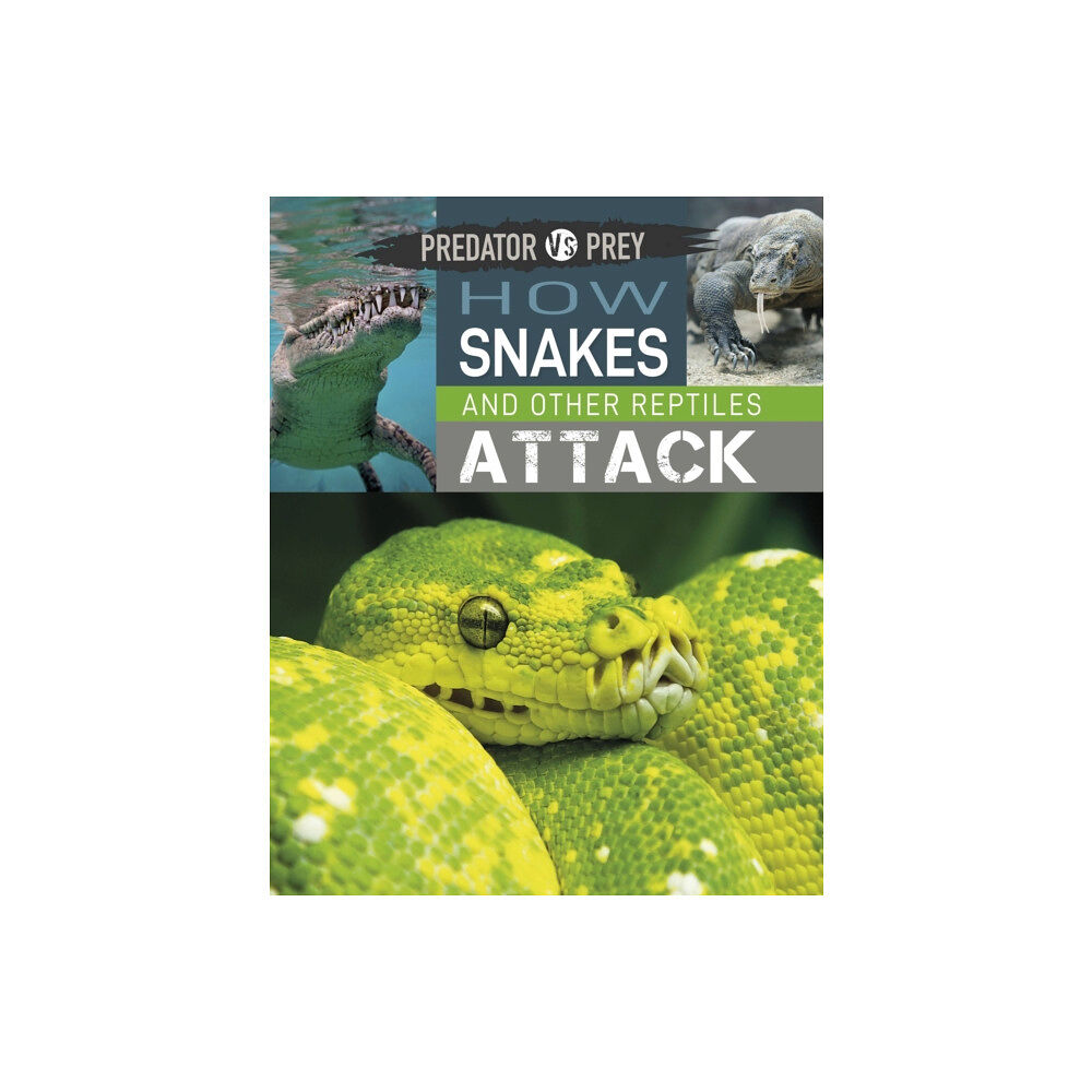 Hachette Children's Group Predator vs Prey: How Snakes and other Reptiles Attack (häftad, eng)