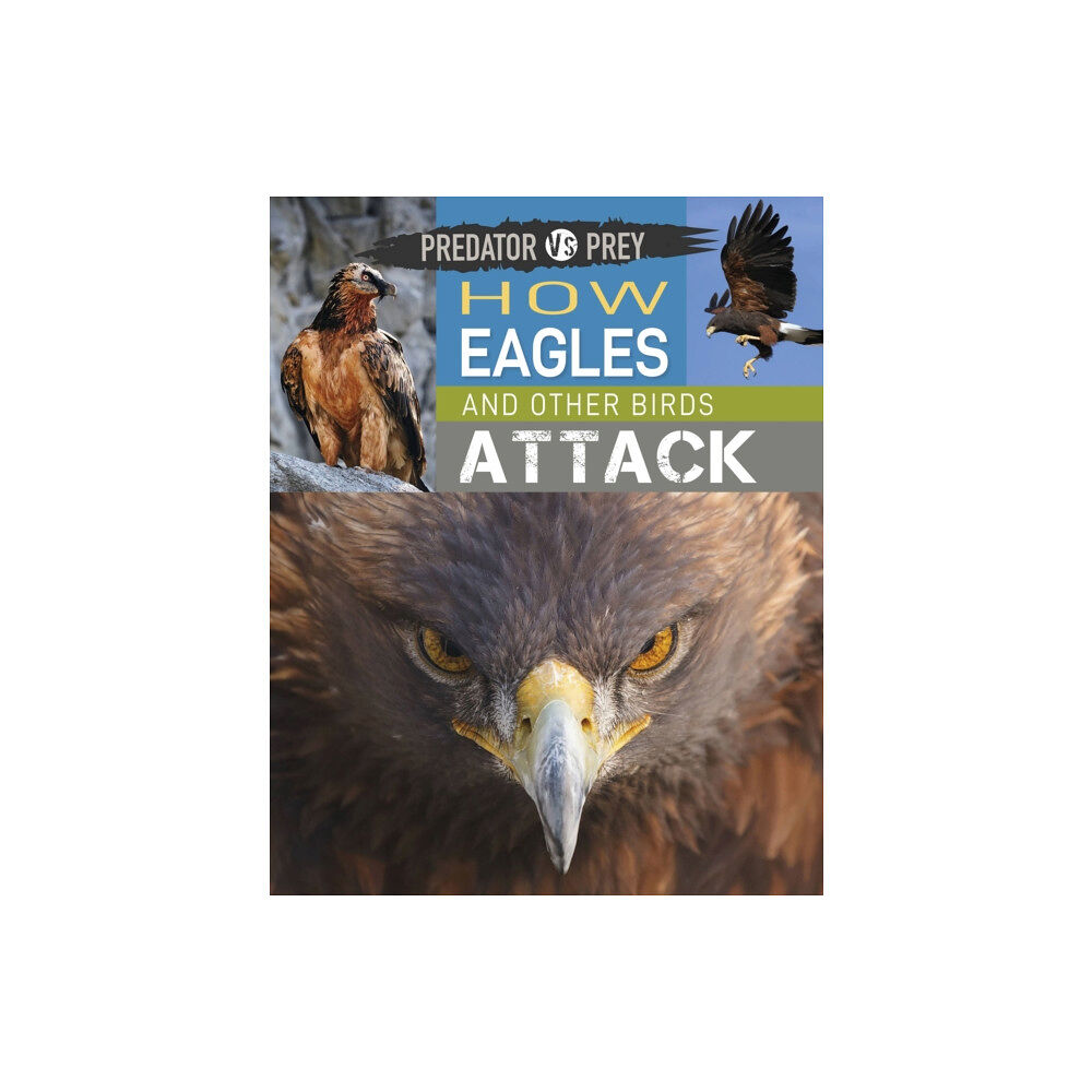 Hachette Children's Group Predator vs Prey: How Eagles and other Birds Attack (häftad, eng)