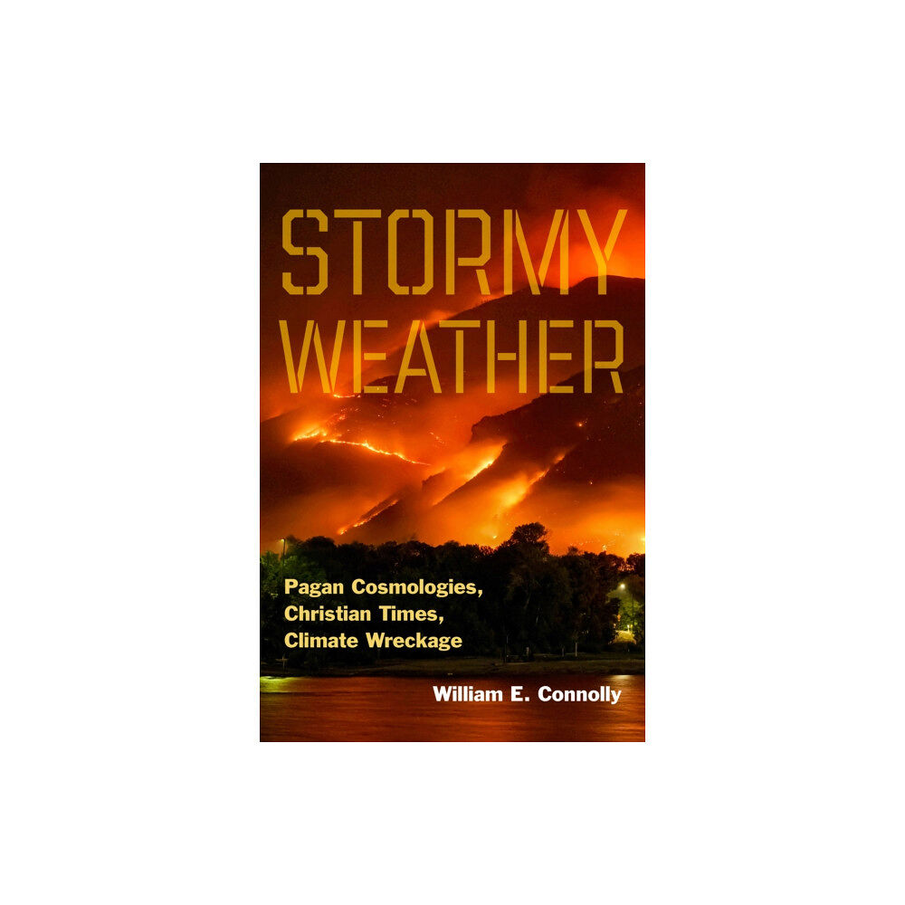 Fordham university press Stormy Weather (häftad, eng)