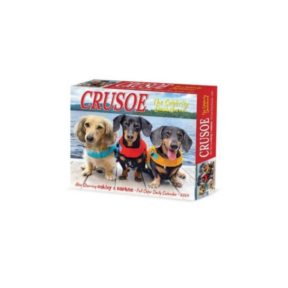 Willow Creek Press Crusoe the Celebrity Dachshund 2024 6.2 X 5.4 Box Calendar