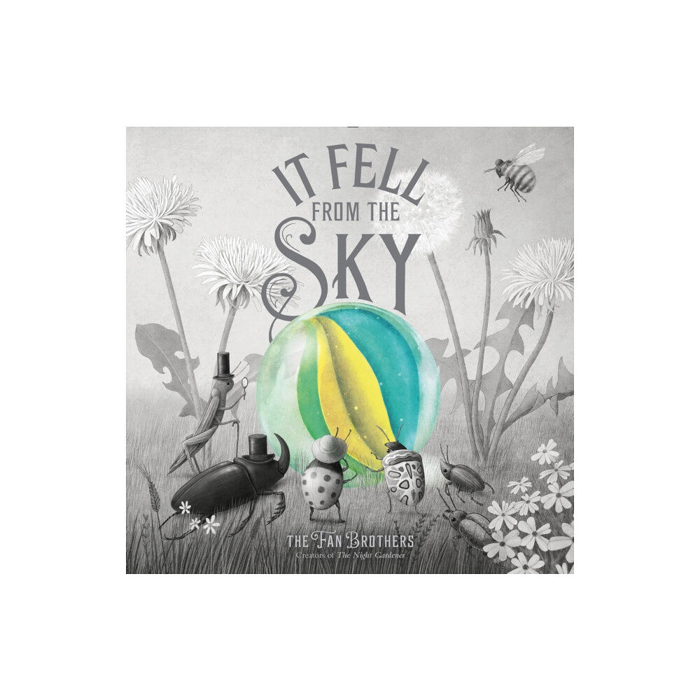 Simon & Schuster Books for Young Readers It Fell from the Sky (inbunden, eng)