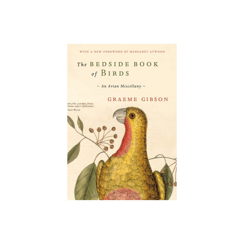 Bloomsbury Publishing PLC The Bedside Book of Birds (inbunden, eng)