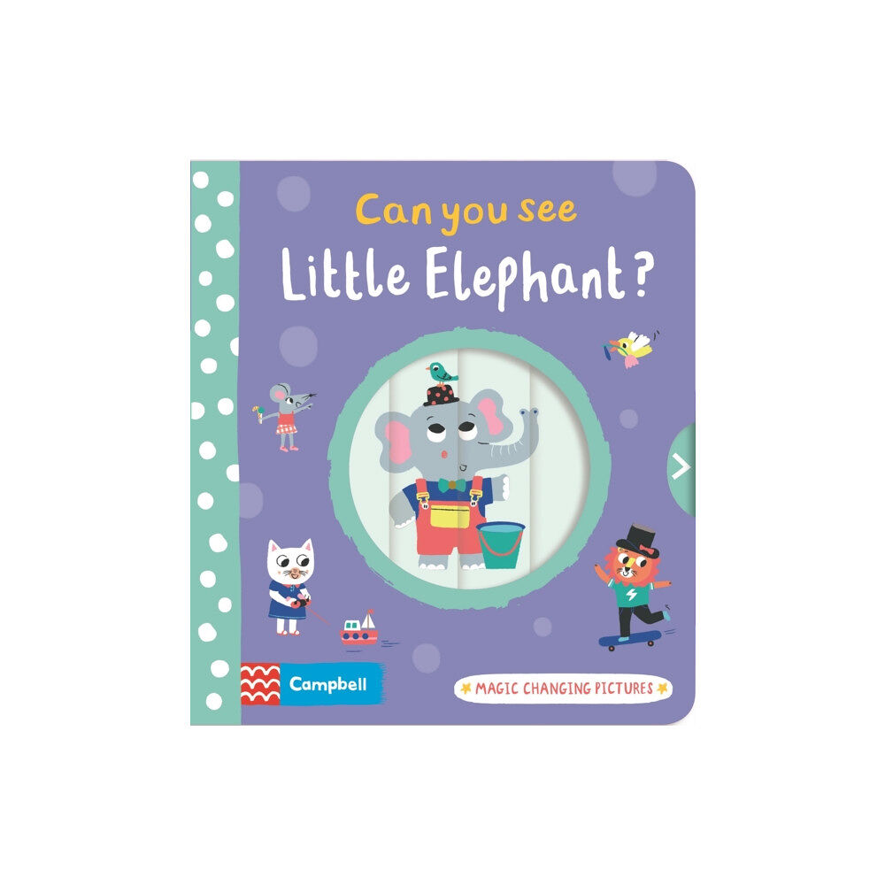 Pan Macmillan Can you see Little Elephant? (bok, board book, eng)