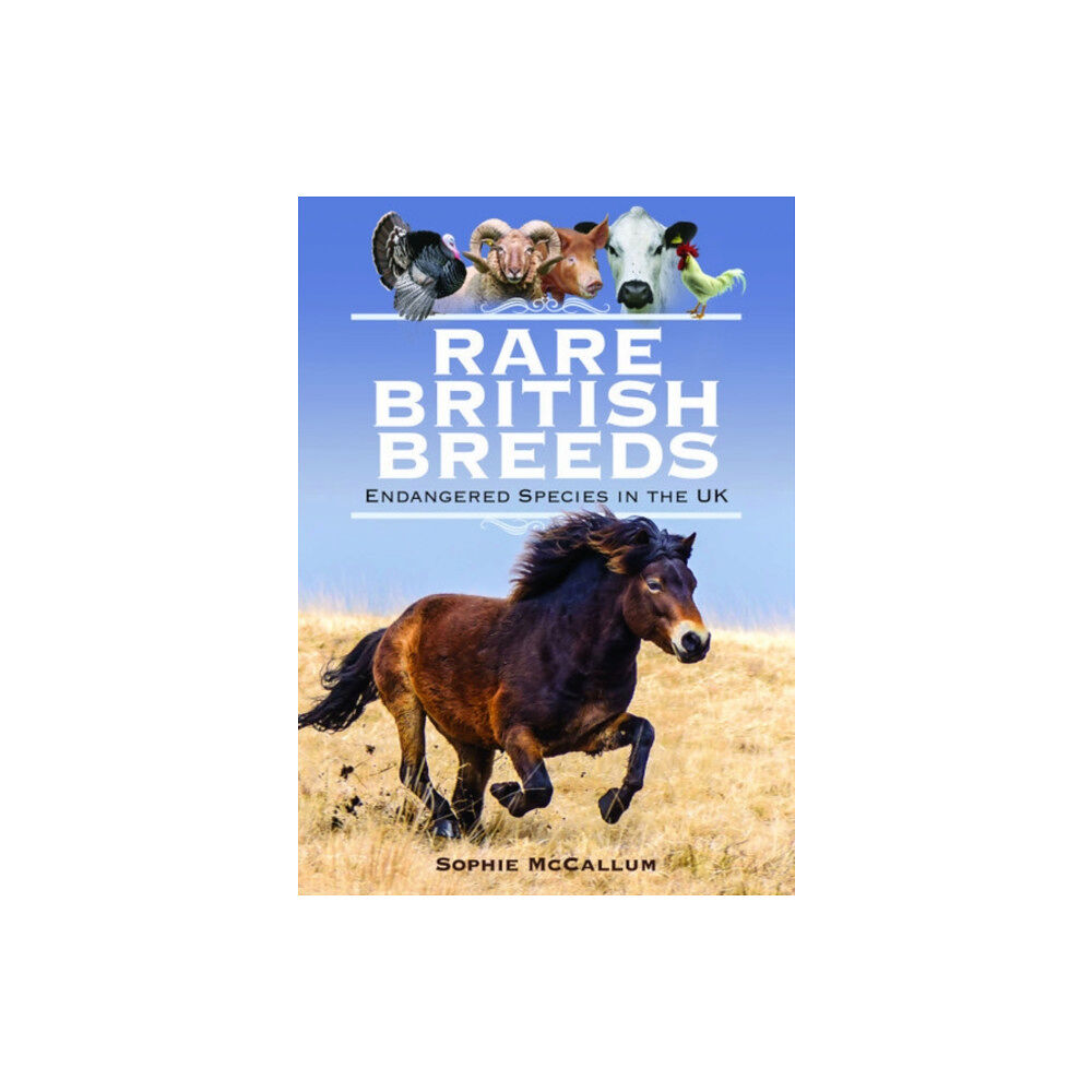 Pen & Sword Books Ltd Rare British Breeds (inbunden, eng)