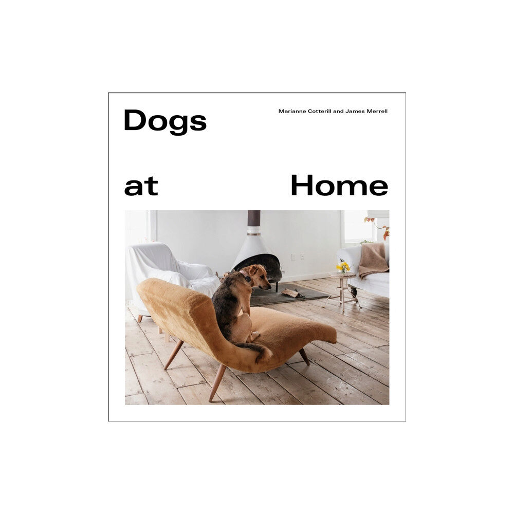 Ebury Publishing Dogs at Home (inbunden, eng)