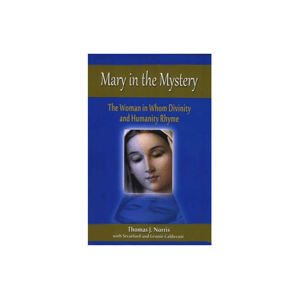 New City Press Mary in the Mystery (häftad, eng)
