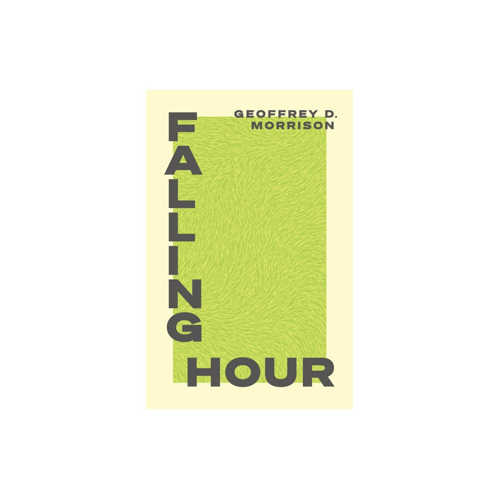 Coach House Books Falling Hour (häftad, eng)