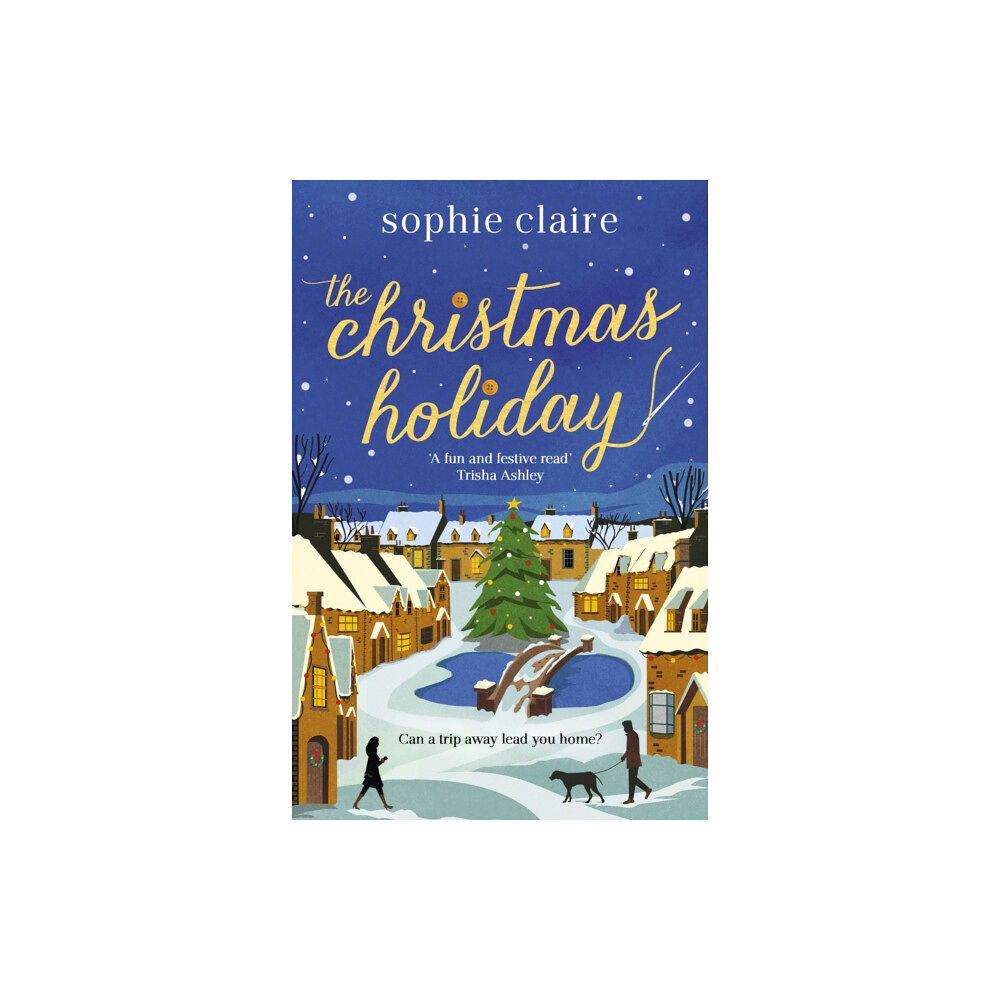 Hodder & Stoughton The Christmas Holiday (häftad, eng)