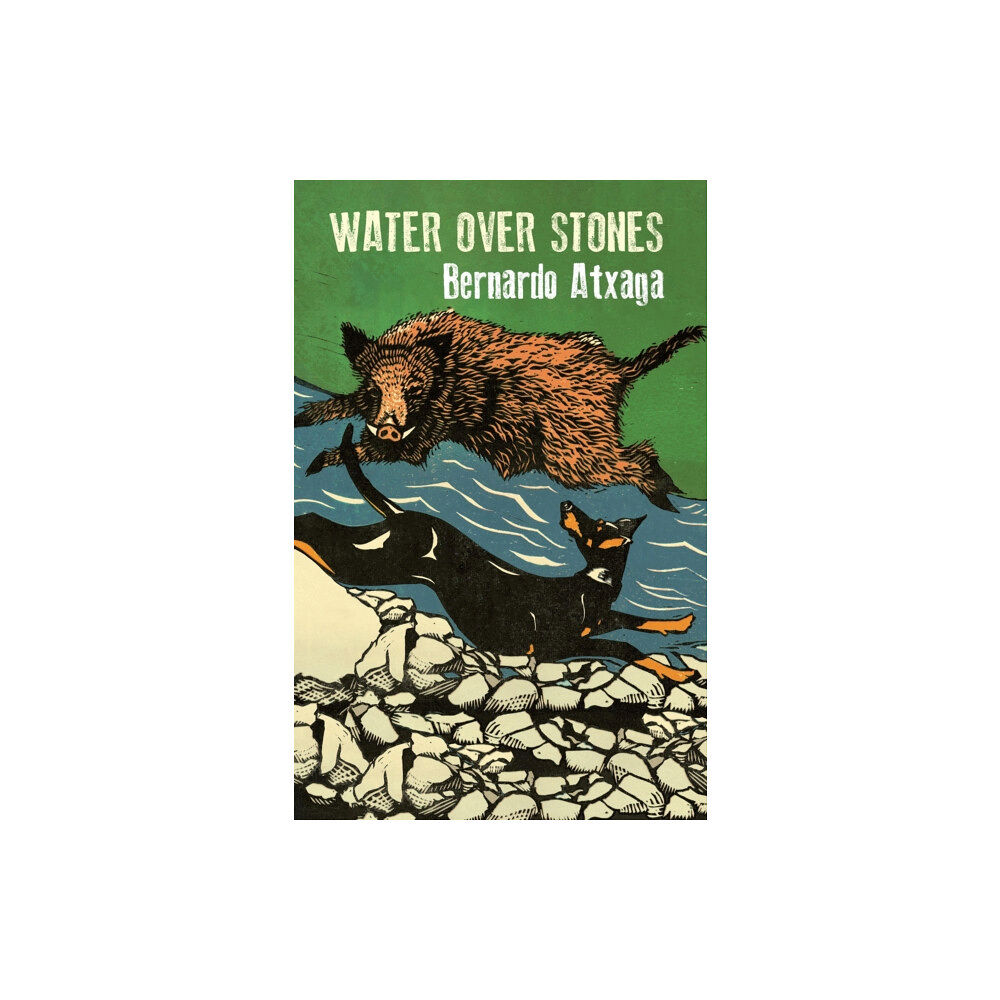 Quercus Publishing Water over Stones (häftad, eng)