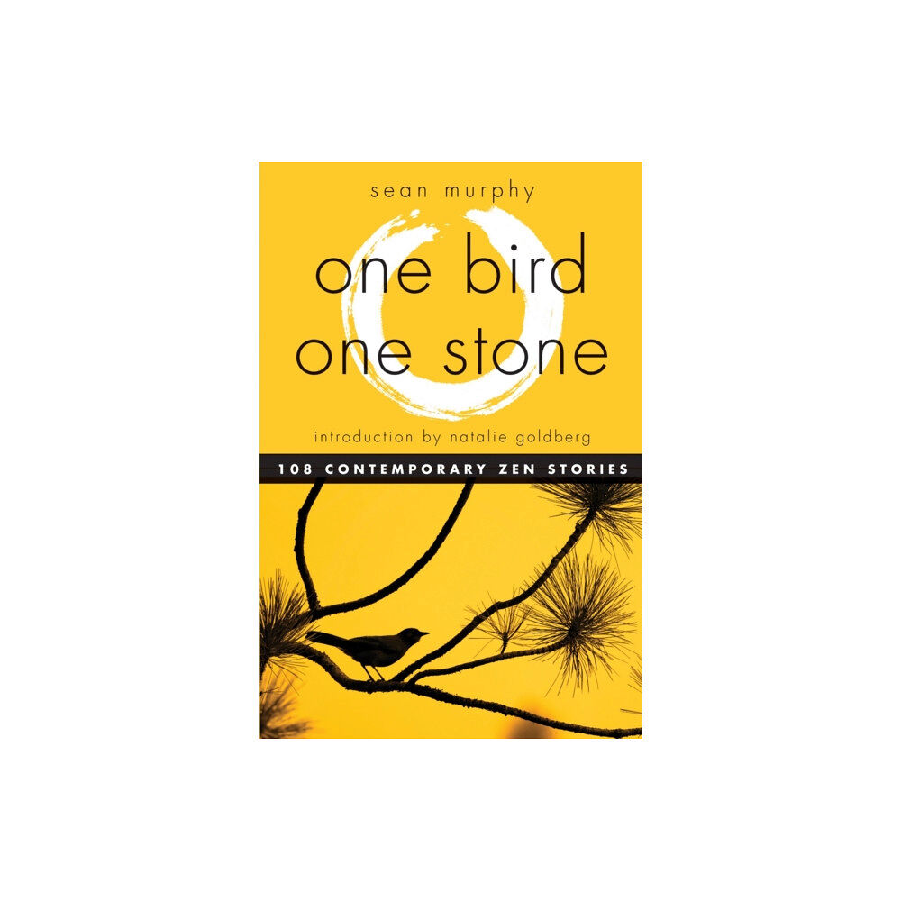 Hampton Roads Publishing Co One Bird, One Stone (häftad, eng)