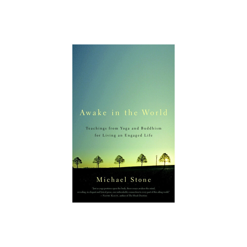 Shambhala Publications Inc Awake in the World (häftad, eng)