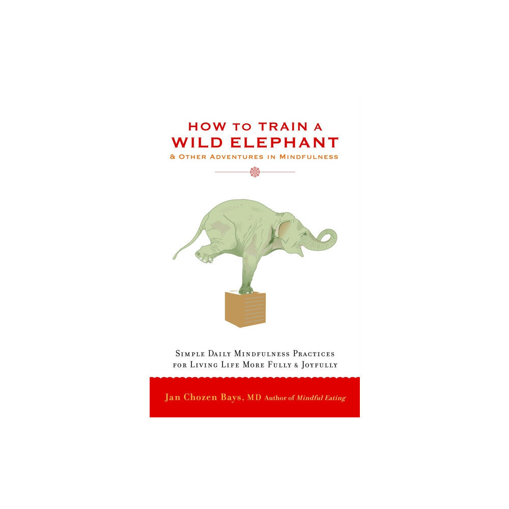 Shambhala Publications Inc How to Train a Wild Elephant (häftad, eng)