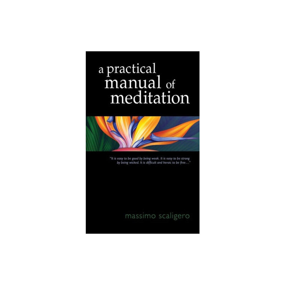 SteinerBooks, Inc A Practical Manual of Meditation (häftad, eng)