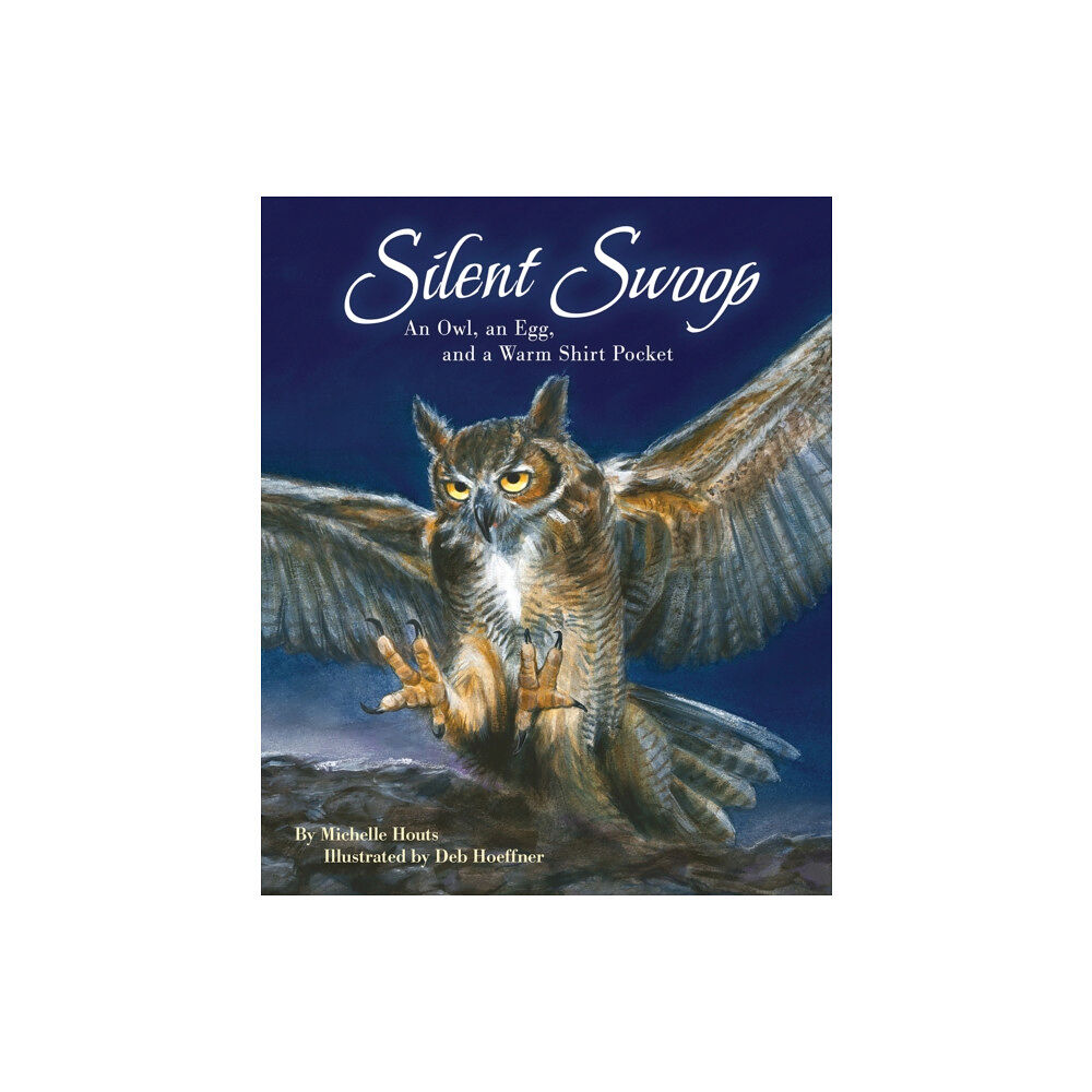 Sourcebooks, Inc Silent Swoop (häftad, eng)