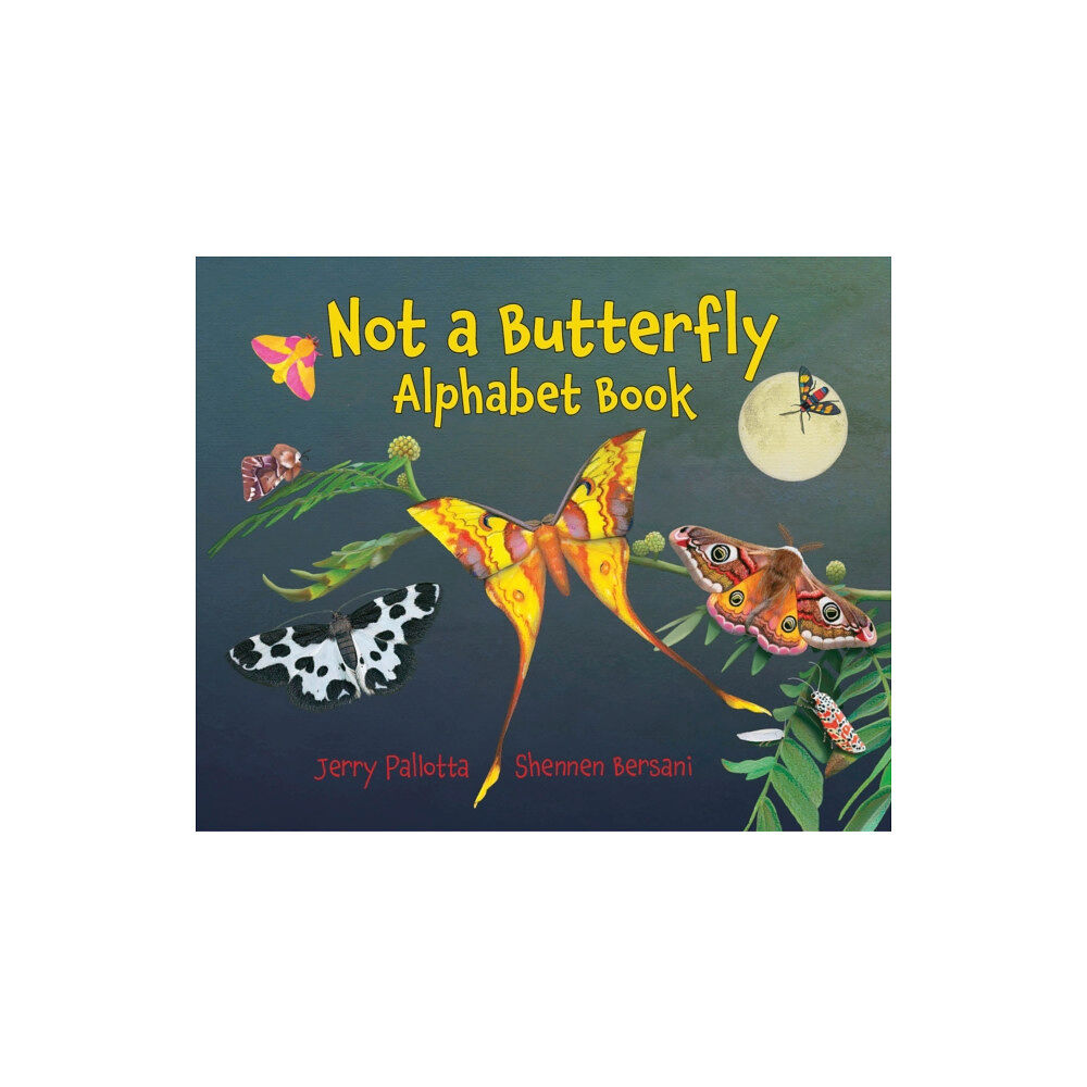 Charlesbridge Publishing,U.S. Not a Butterfly Alphabet Book (inbunden, eng)