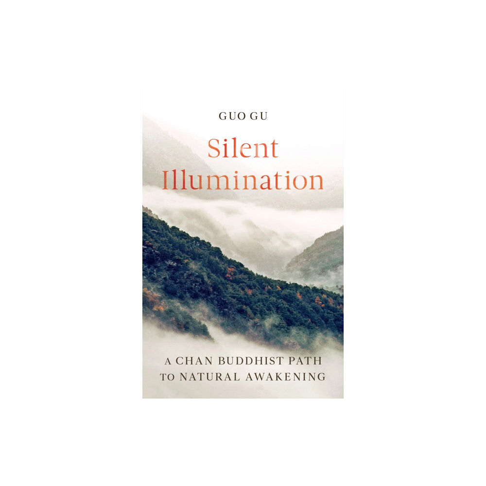 Shambhala Publications Inc Silent Illumination (häftad, eng)