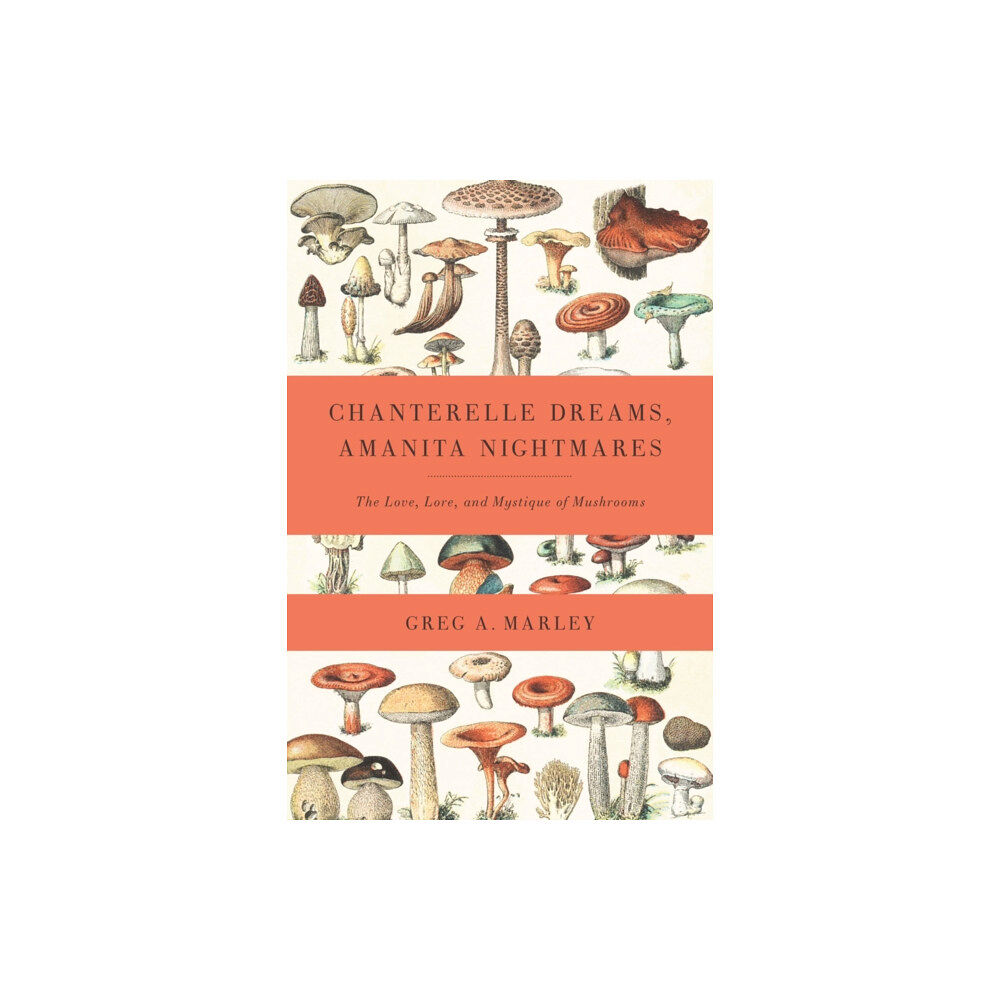 Chelsea Green Publishing Co Chanterelle Dreams, Amanita Nightmares (häftad, eng)