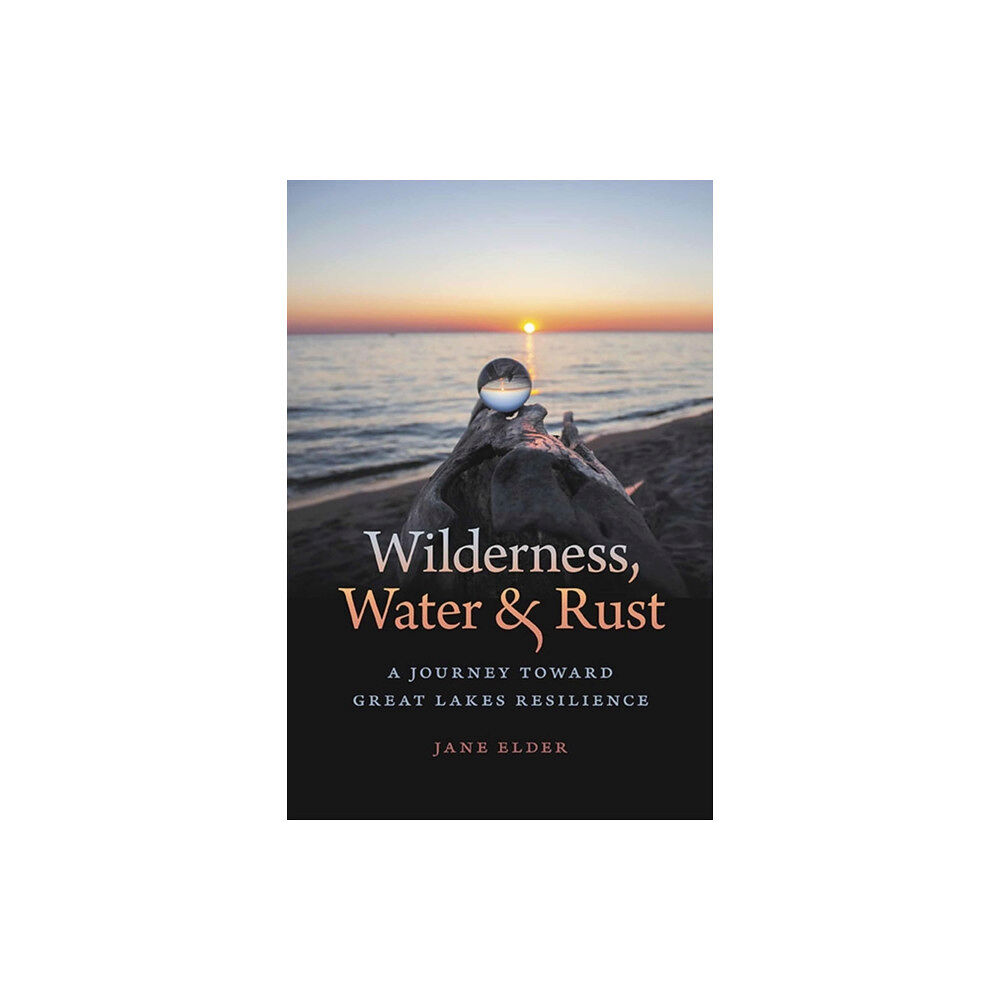 Michigan State University Press Wilderness, Water, and Rust (häftad, eng)