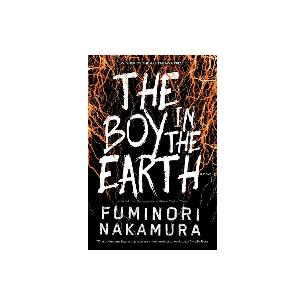 Soho Press Inc The Boy In The Earth (häftad, eng)