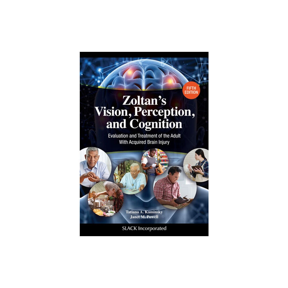 Taylor & francis inc Zoltan’s Vision, Perception, and Cognition (inbunden, eng)