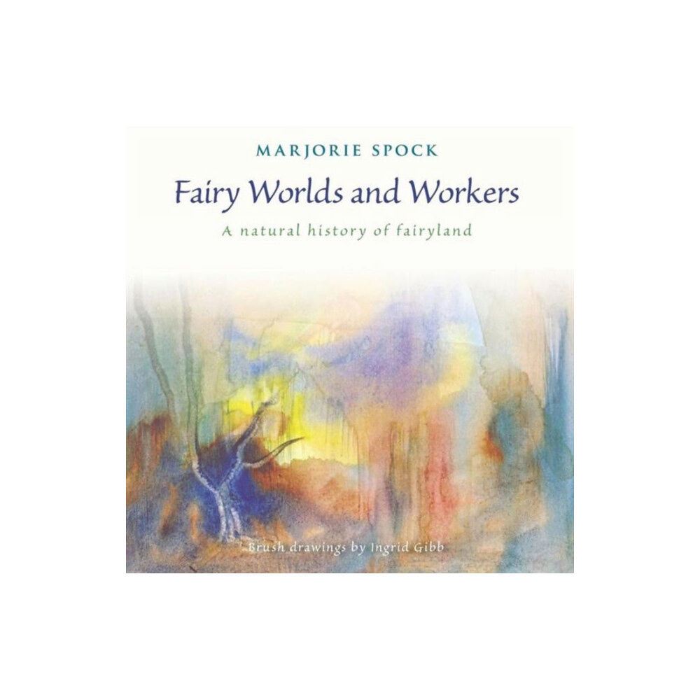 SteinerBooks, Inc Fairy Worlds and Workers (häftad, eng)