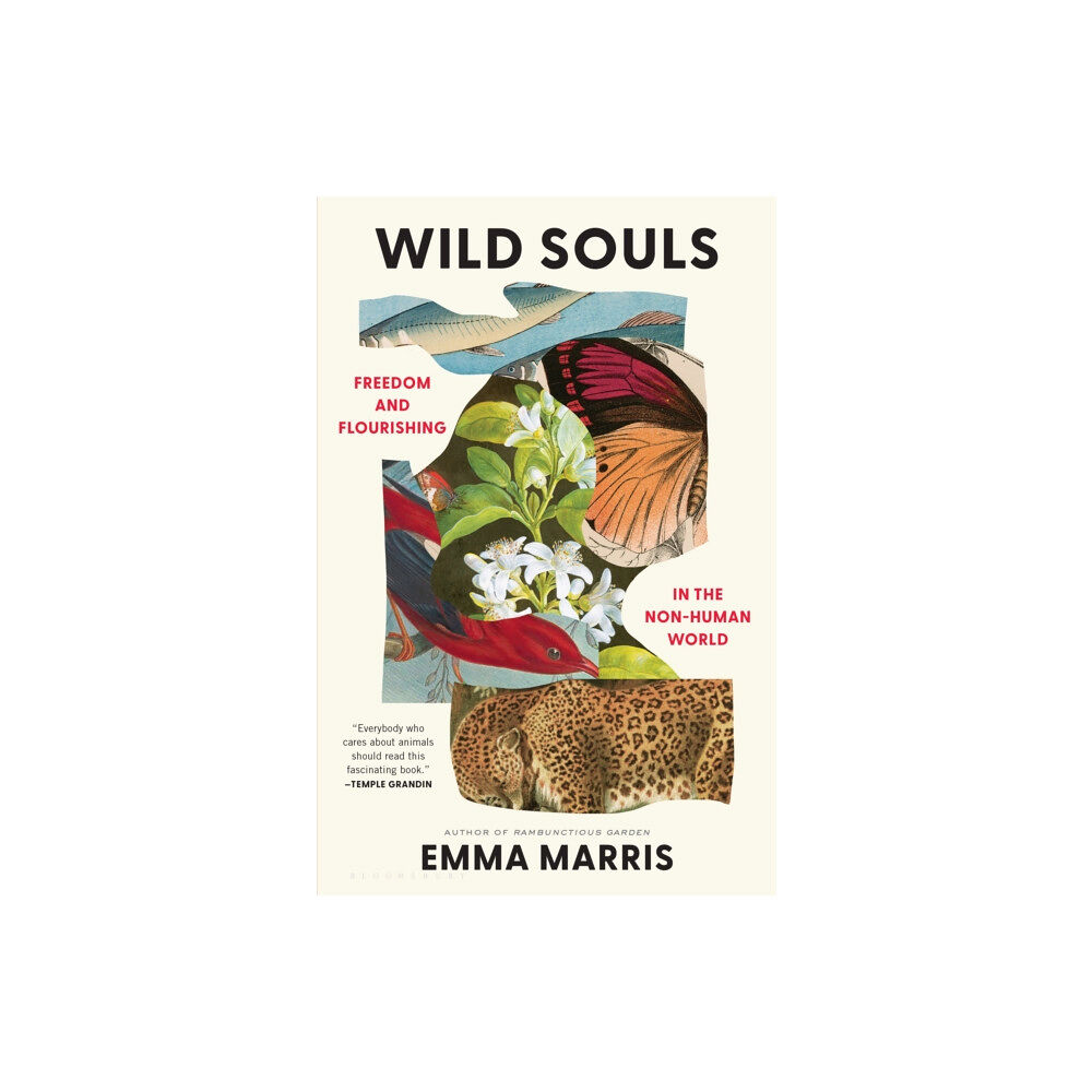 Bloomsbury Publishing USA Wild Souls (inbunden, eng)