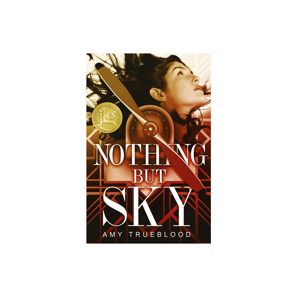 North Star Editions Nothing But Sky (häftad, eng)