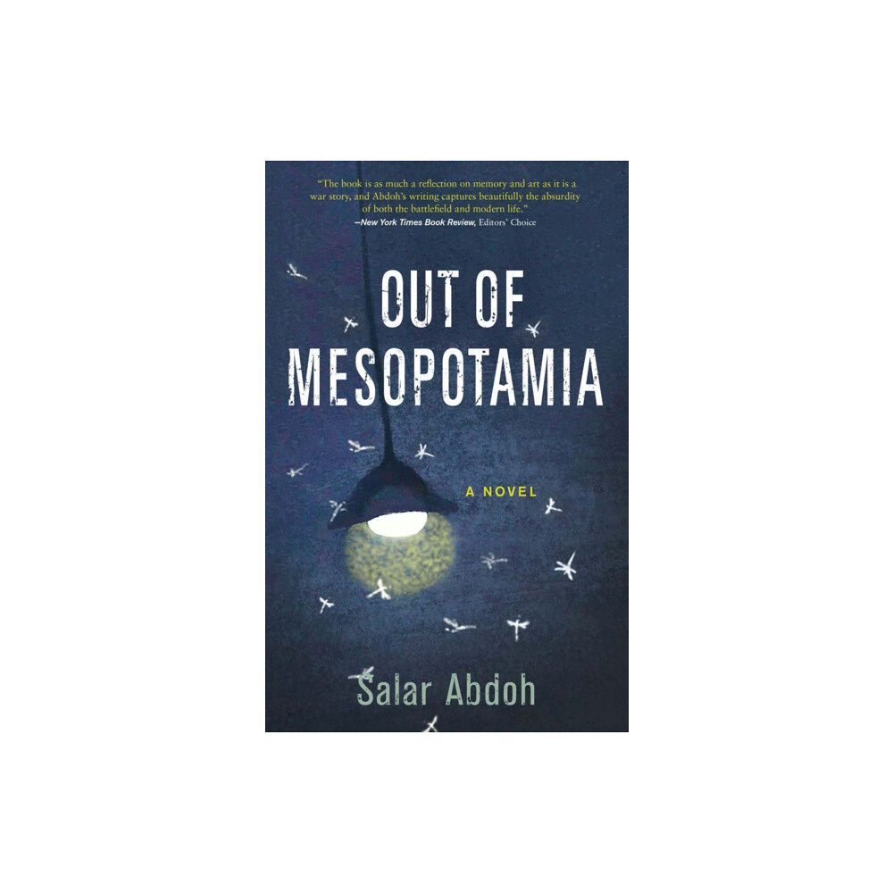 Akashic Books,U.S. Out Of Mesopotamia (häftad, eng)