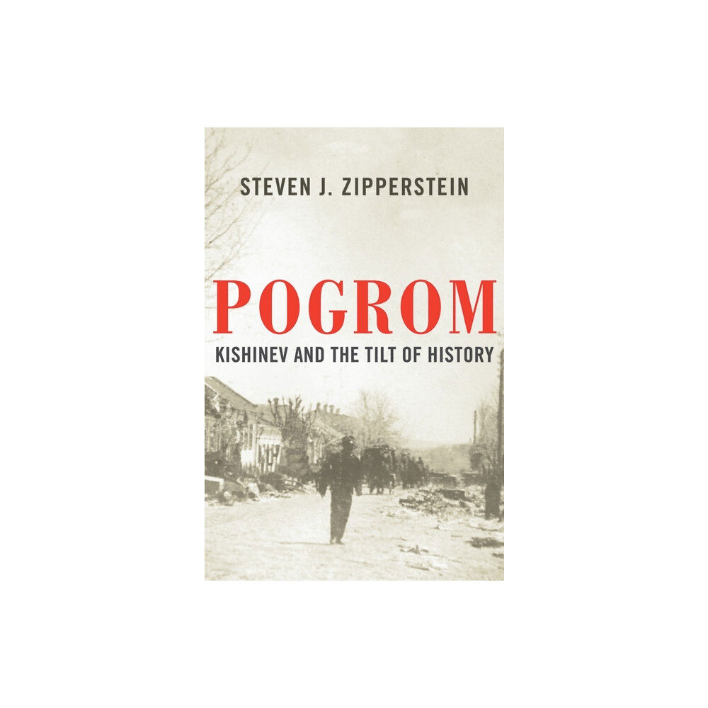 WW Norton & Co Pogrom (inbunden, eng)