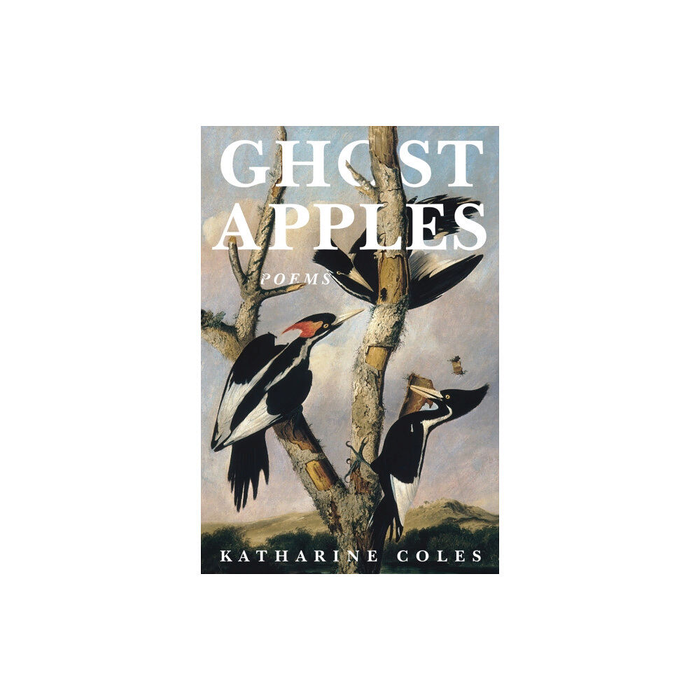 Red Hen Press Ghost Apples (häftad, eng)