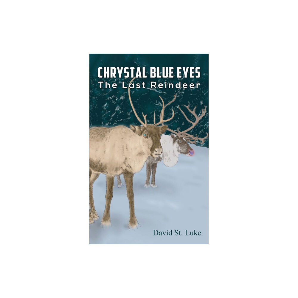 Austin Macauley Publishers LLC Chrystal Blue Eyes (häftad, eng)