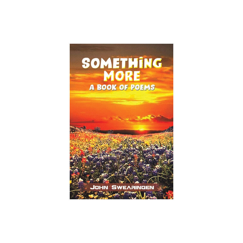 Austin Macauley Publishers LLC Something More (häftad, eng)