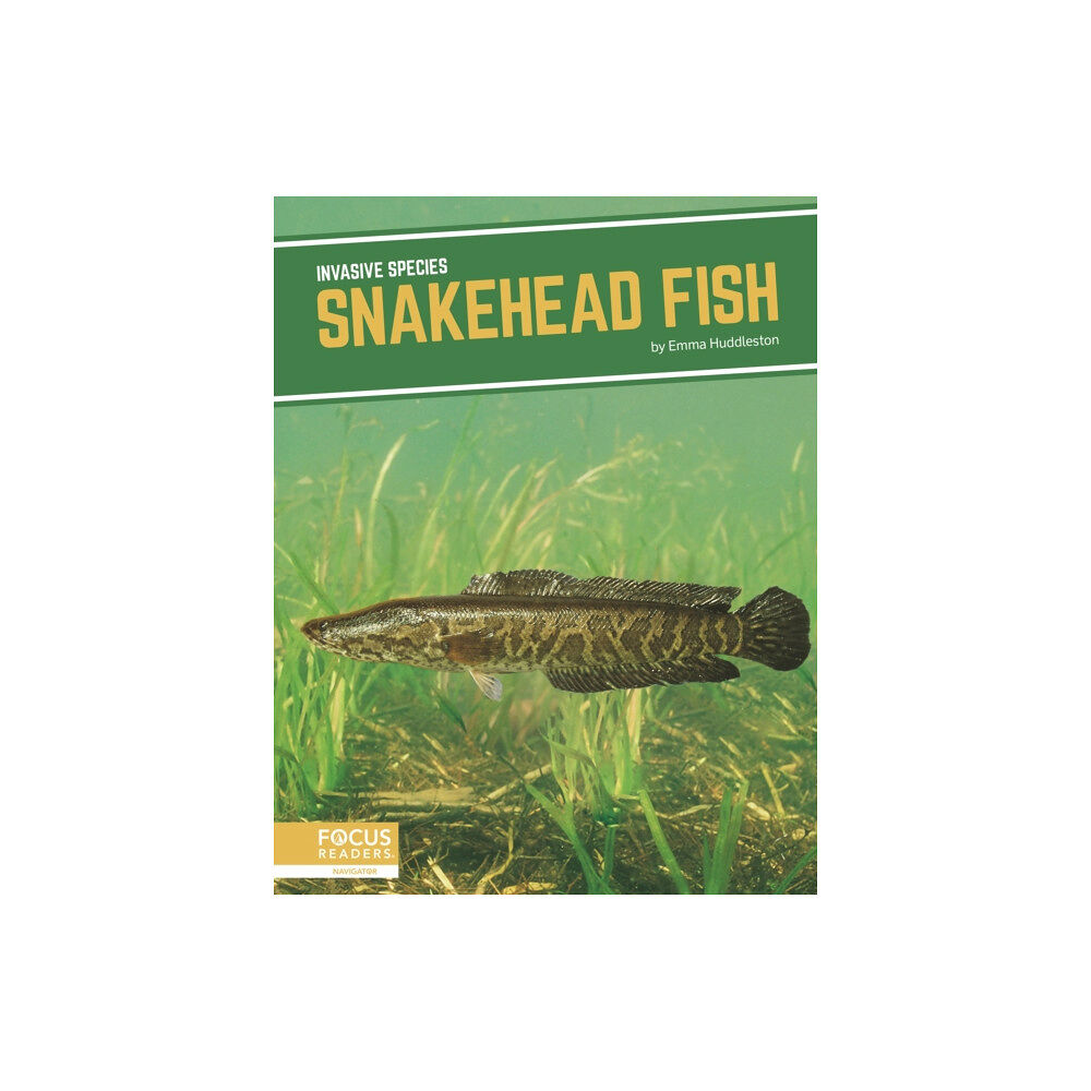 North Star Editions Invasive Species: Snakehead Fish (inbunden, eng)